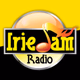 Logo de Irie Jam Radio - WQHT-HD3