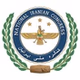کنگره ملی ایرانیان logo