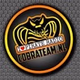 Cobra Team Radio logo