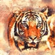 Logo de SEBATA FM