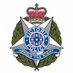 Southern Metro Division Public Safety logo