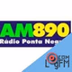 Logo de Radio Pontanegra