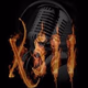 Logo de Radio X511