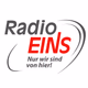 Logo de RadioEINS