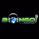 Logo de Bongo Radio - African Grooves Channel