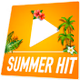 100% Radio - 100% Summer Hit logo