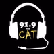91.9 the Cat - KWSC logo