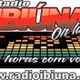 Rádio Ibiúna logo