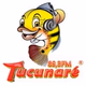 Logo de Rádio Tucunaré 89,3 FM