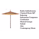 Logo de Radio Arts Indonesia