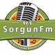 Logo de Sorgun FM