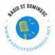 Radio ST Domineuc logo