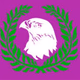Logo de Falcon FM