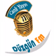 Düzgün FM logo