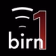 The BIRN - BIRN1 logo