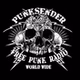 Radio Punksender logo
