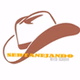 Sertanejando Web Radio logo