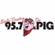 95.7 The Big Pig - WPIG logo
