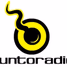 Puntoradio 96.3 FM logo