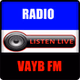Radio VAYB FM logo