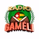 Radio Gameli logo