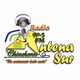 Logo de Antena Sur Chincheros