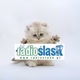 Logo de Radio Śląsk
