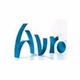 Logo de AVRO Steenen Tijdperk Fifties