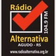 Rádio Alternativa 104.9 FM logo