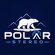 Polar Stereo logo