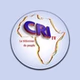 CRI Radio International logo