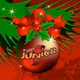Radio Junior - Noel logo