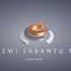 Logo de IZWI LABANTU FM