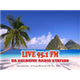 Live 95.1FM logo