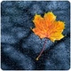 Radio Suite Network - Nature Radio Rain logo