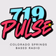 719 Pulse logo