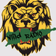 ViiLD Country logo
