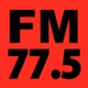 FM-Niigata logo