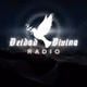 Deidad Divina Radio logo