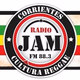 Logo de Radio JAM FM 88.3