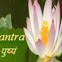 Bhagvad Gita Radio logo