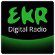 Logo de EKR - Now Zone