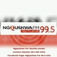 Ngqushwa FM logo