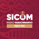 Logo de SICOM Huauchinango 98.9  - XHNGO