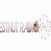 Logo de Chestnut Radio