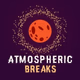Logo de RadioSpinner - Atmospheric Breaks