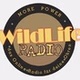 Wild Life Radio - Main Stream logo
