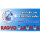 Logo de Radyo Ülkümüz