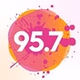 Fidelity 95.7 FM - WZAR logo