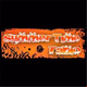 Logo de Summer Time Radio